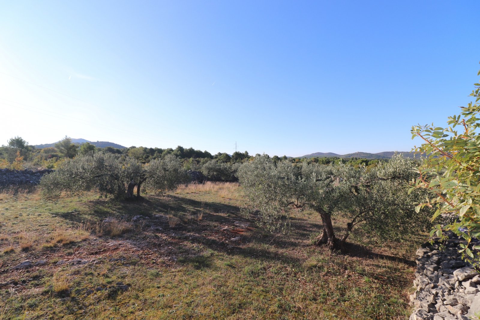 281509 - Grundstück in Šibenik - Okolica