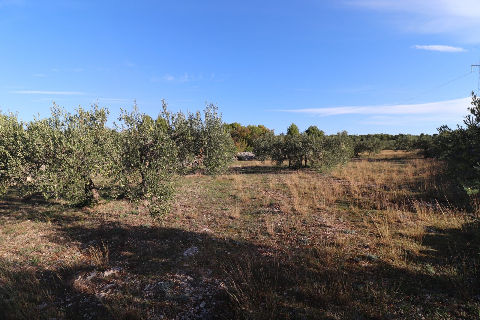 281034 - Grundstück in Šibenik - Okolica