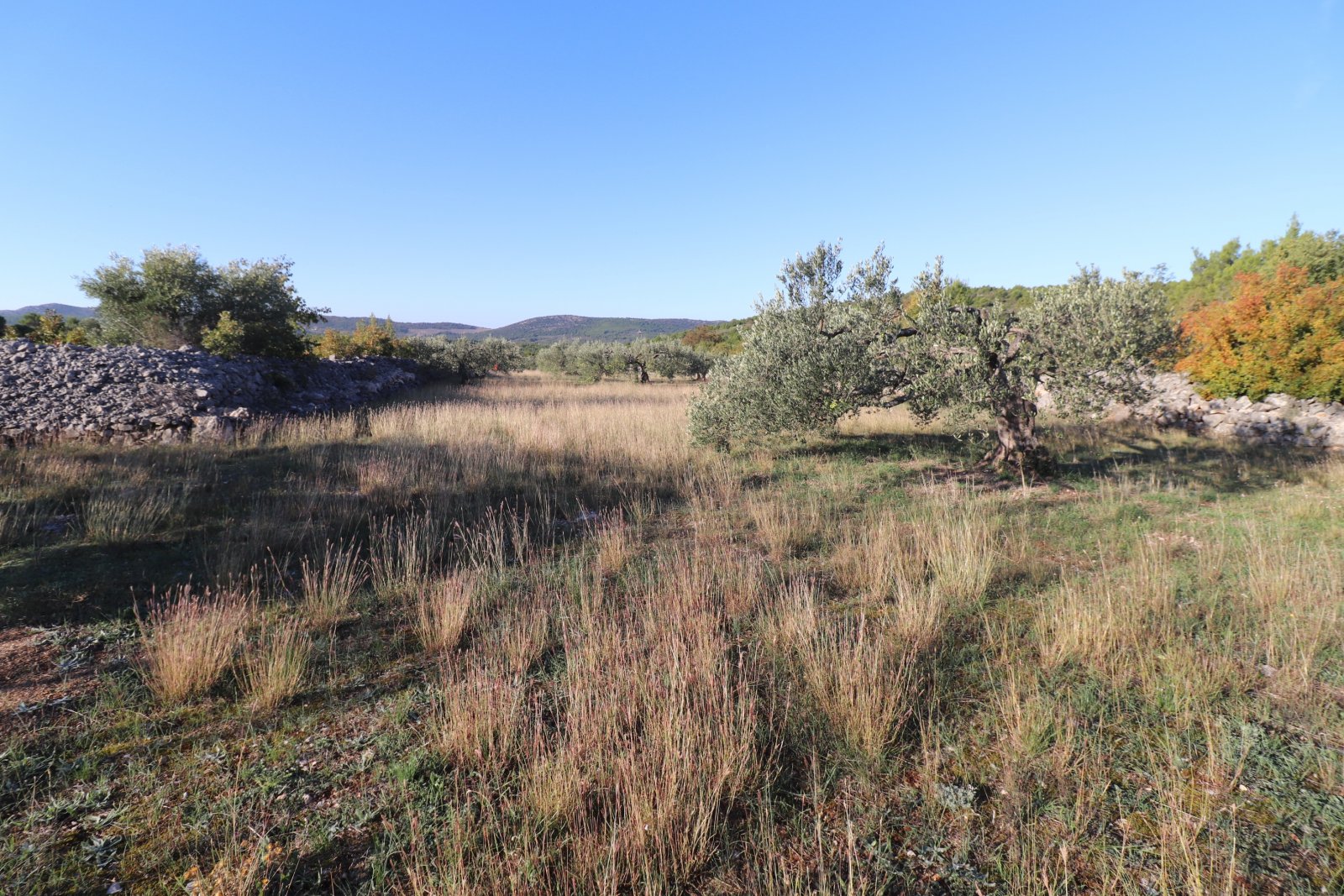 281034 - Grundstück in Šibenik - Okolica