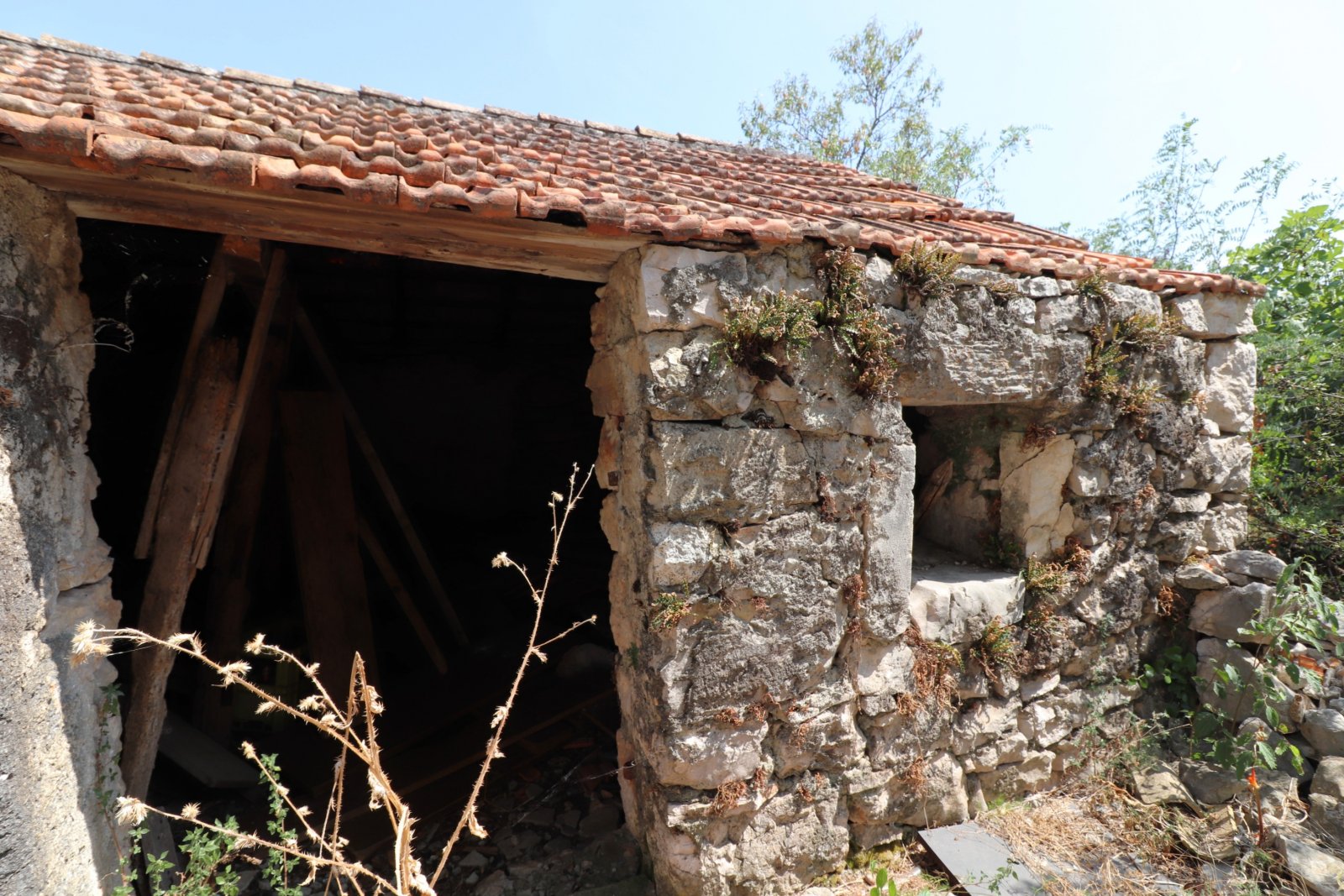 313495 - Villa in Pirovac