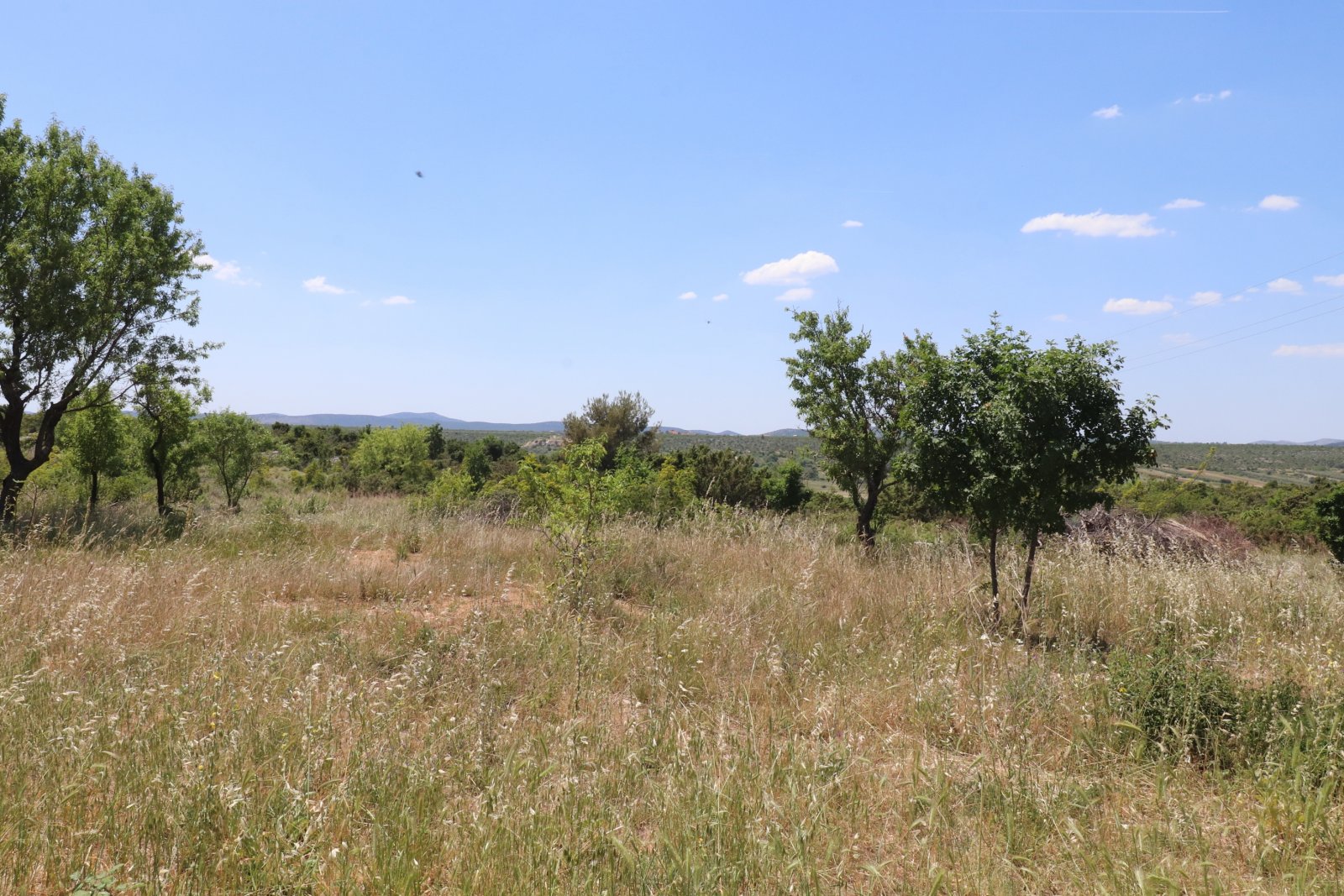 308223 - Villa in Skradin