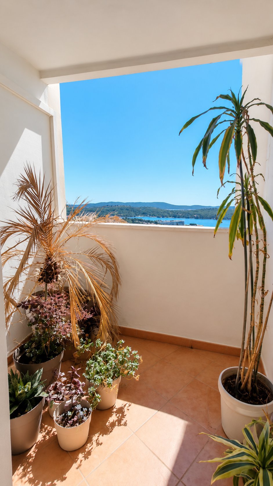 313725 - Wohnung in Šibenik