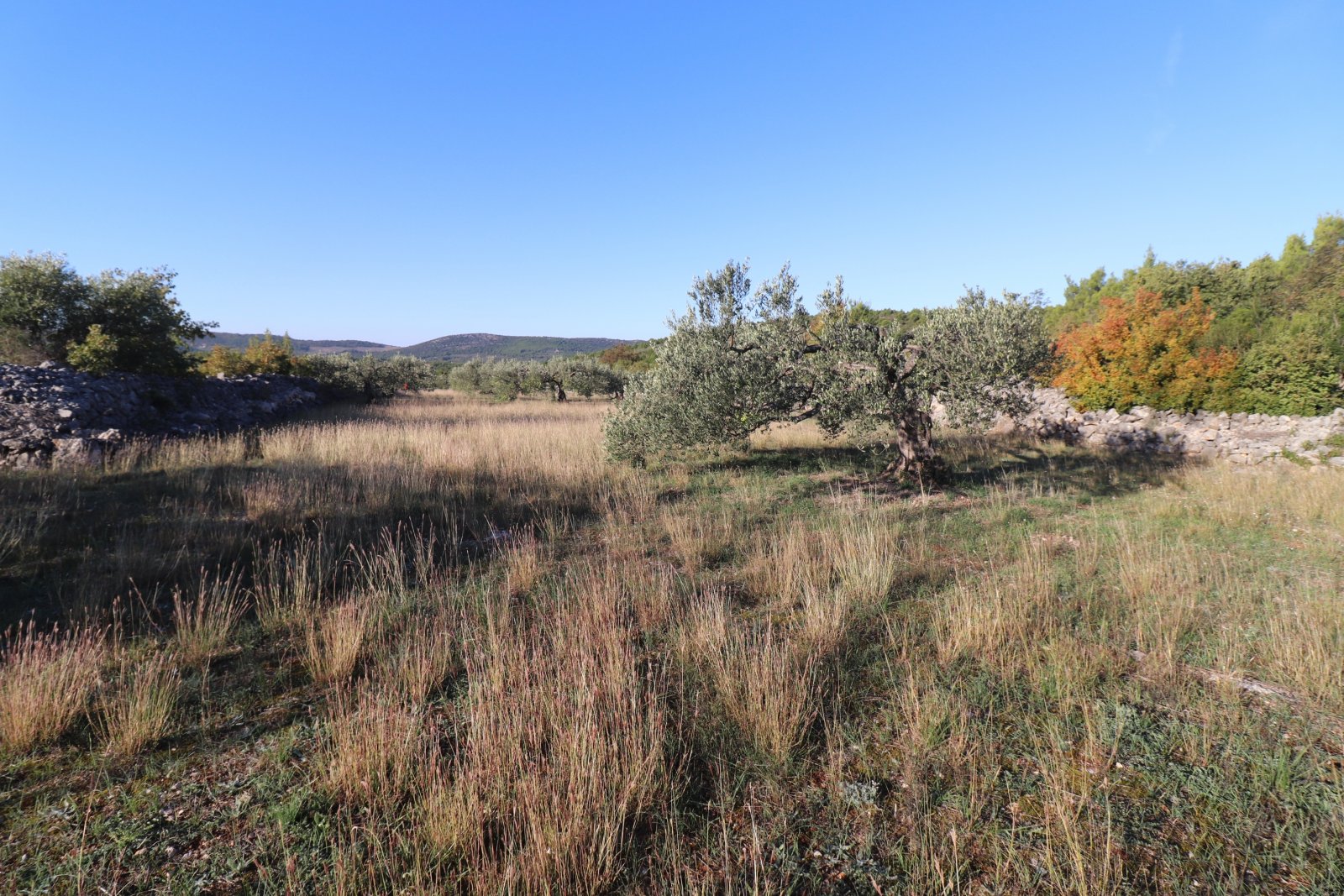 281536 - Grundstück in Šibenik - Okolica