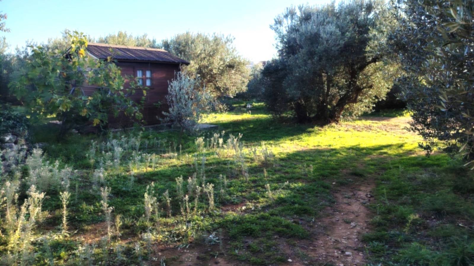 636535 - Grundstück in Tribunj