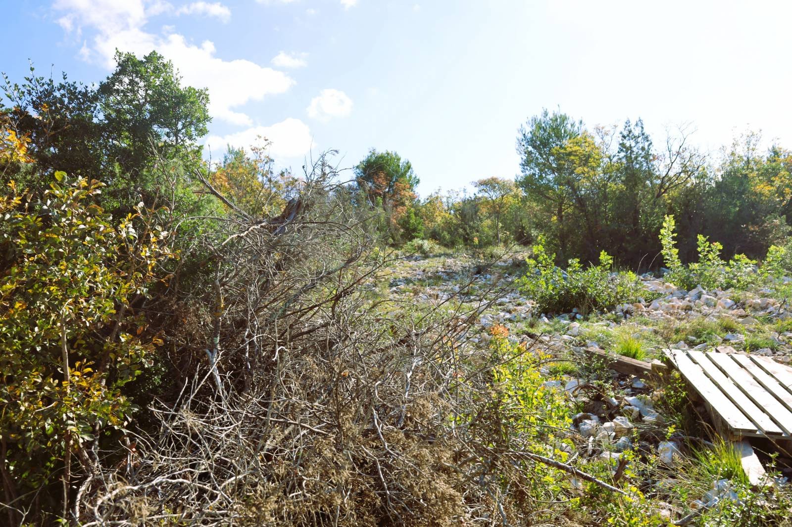 633727 - Grundstück in Šibenik - Okolica