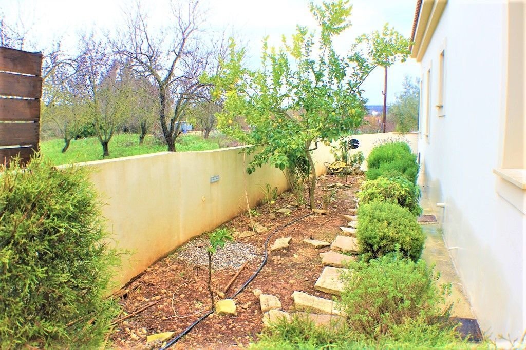 For Sale large private villa in Polemi village of Paphos in a private beautiful green area at the outskirts of the Village.
Private big swimming pool