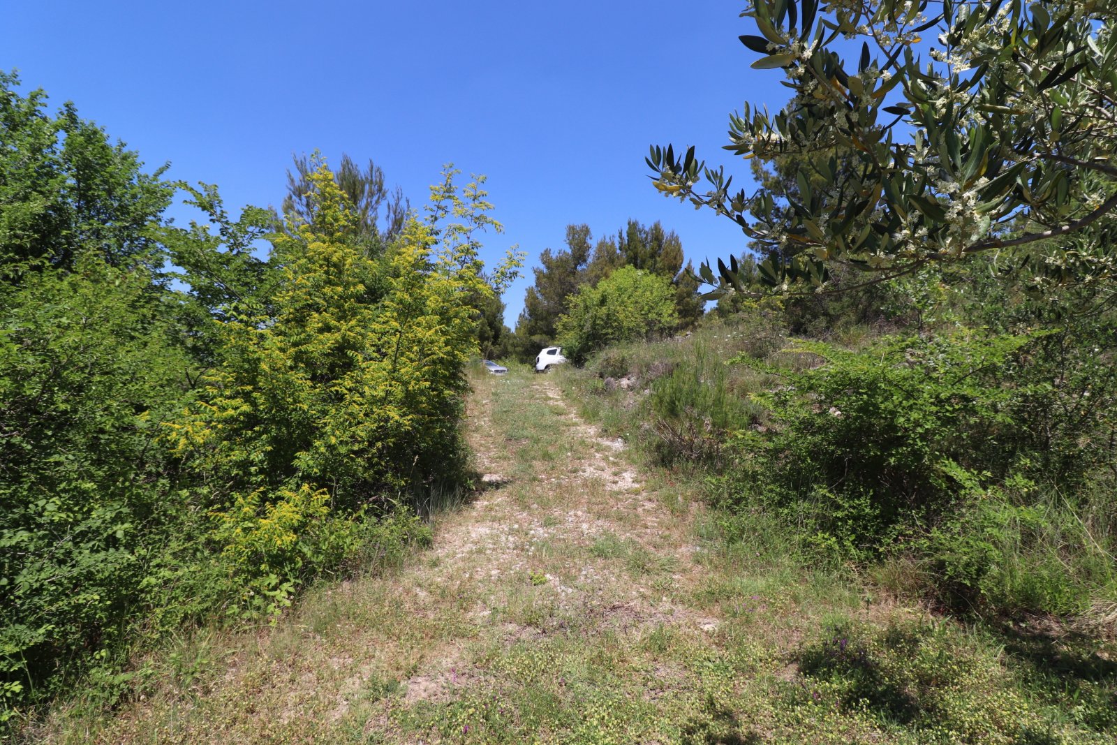 308914 - Grundstück in Skradin