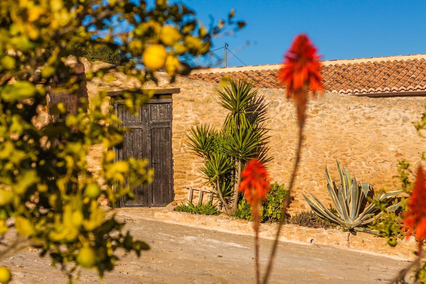 Mediterranes Natursteinhaus mit charmantem Hoftor und exotischer Bepflanzung - Ihr Ruhepol zwischen Zitronen und Aloe Vera Mediterranes Natursteinhaus mit charmantem Hoftor und exotischer Bepflanzung - Ihr Ruhepol zwischen Zitronen und Aloe Vera
