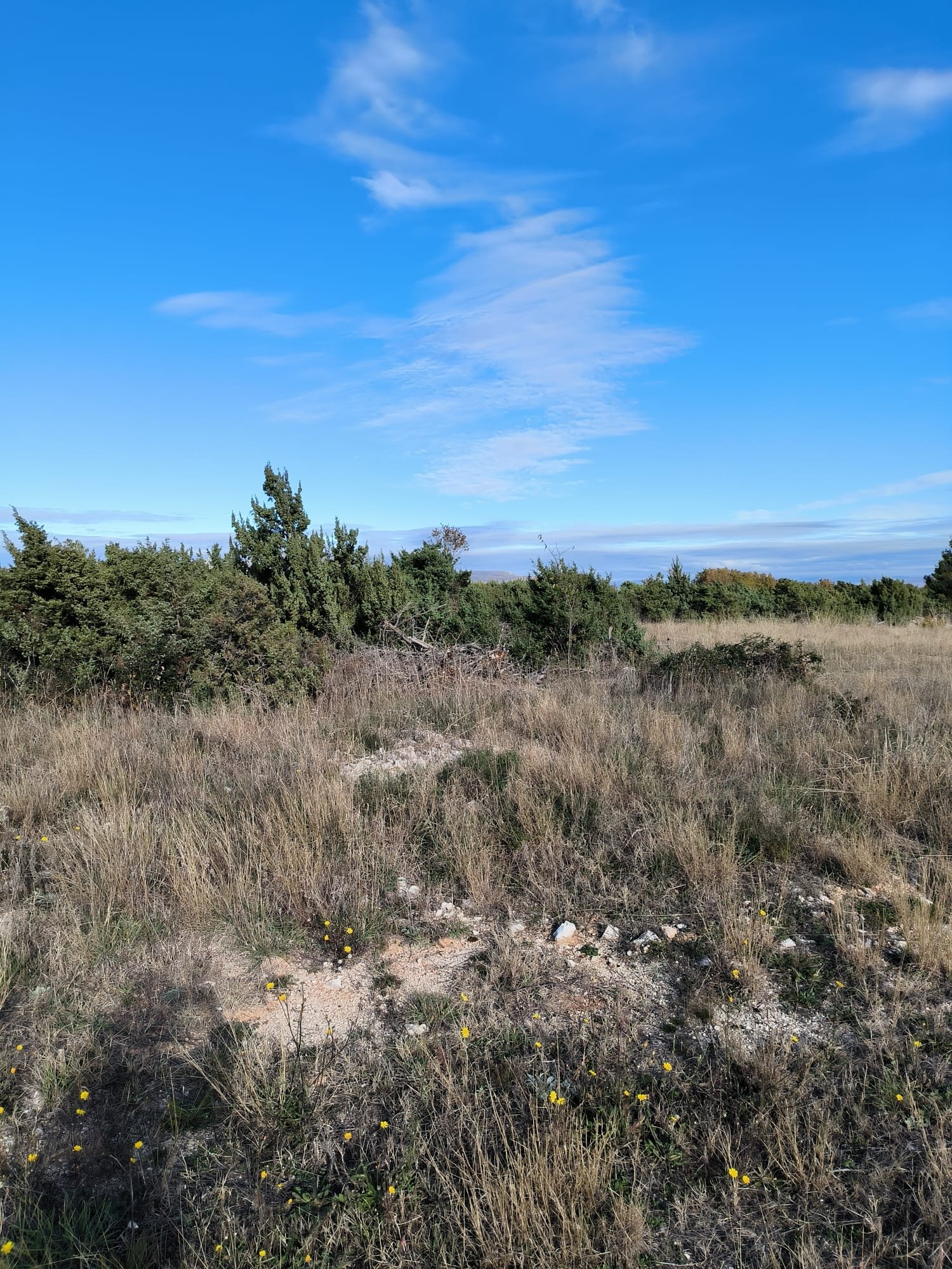 285648 - Grundstück in Drniš