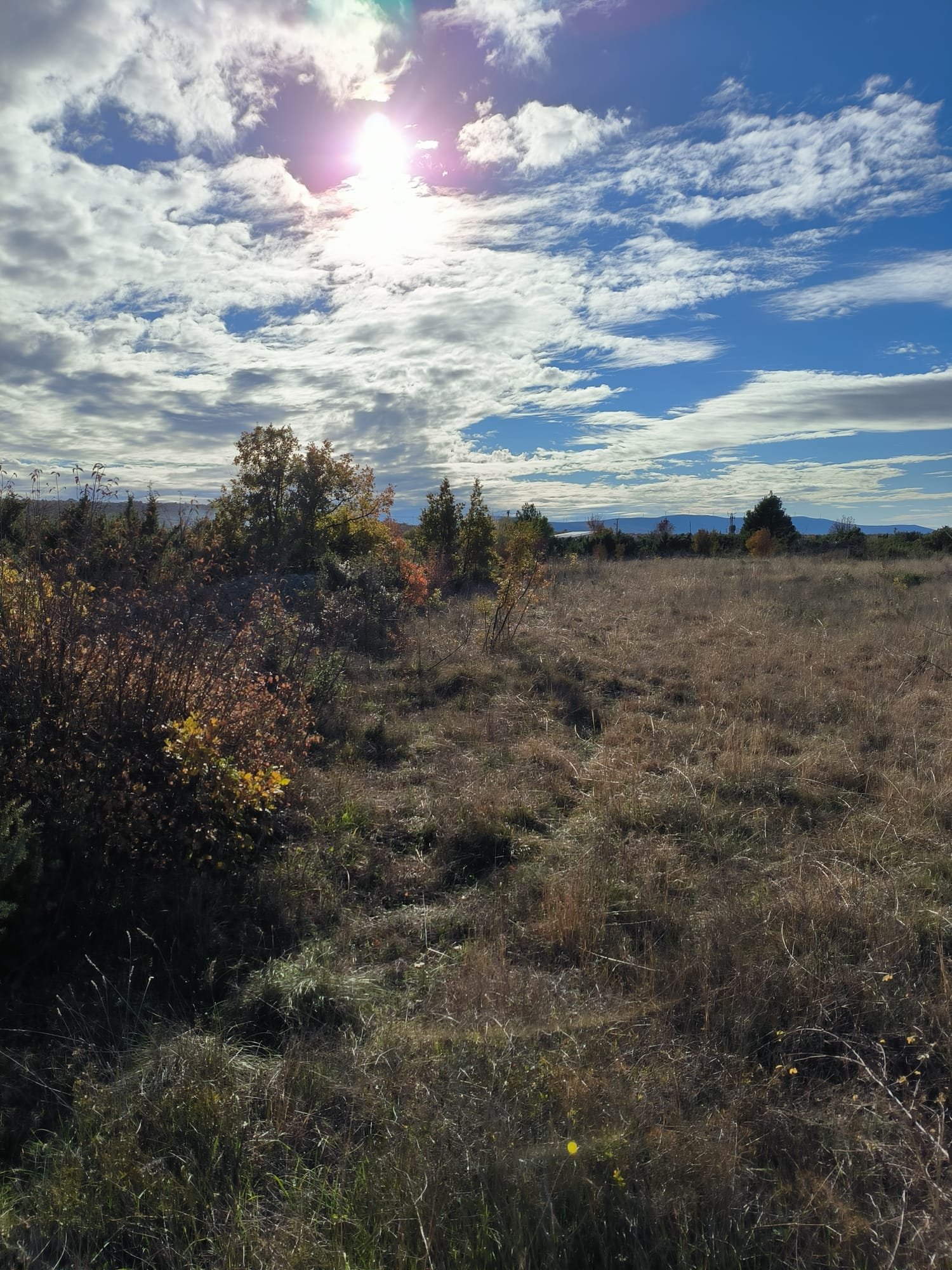 285648 - Grundstück in Drniš