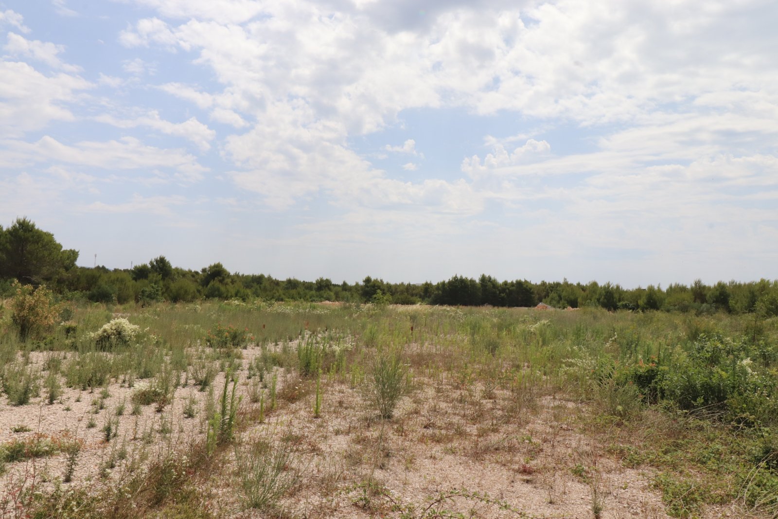 274368 - Grundstück in Vodice