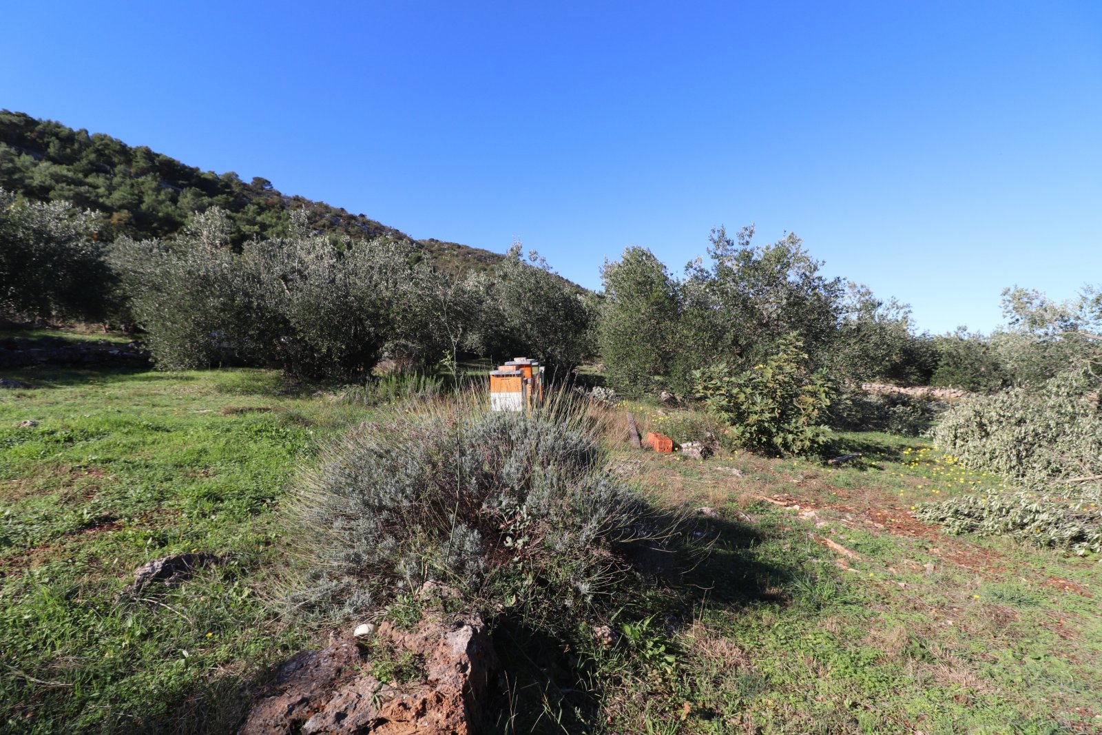 283292 - Grundstück in Vodice