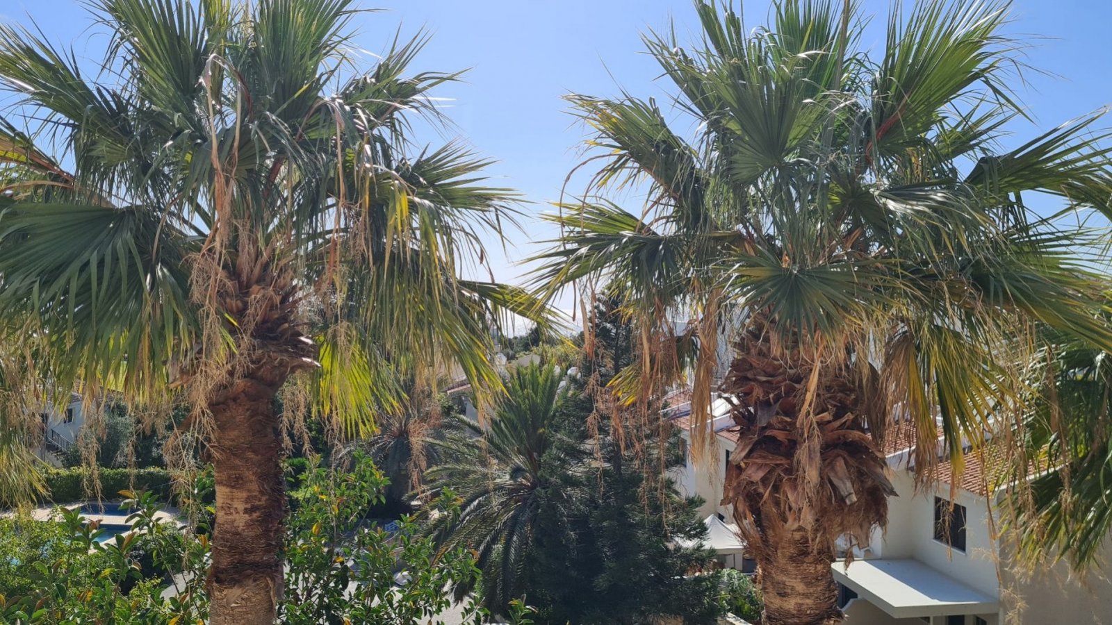 For Sale apartment on first floor near all amenities and the venues beach.