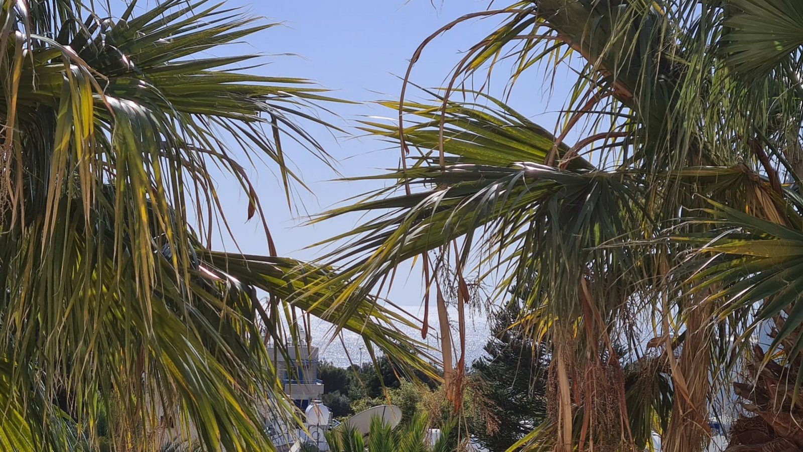 For Sale apartment on first floor near all amenities and the venues beach.