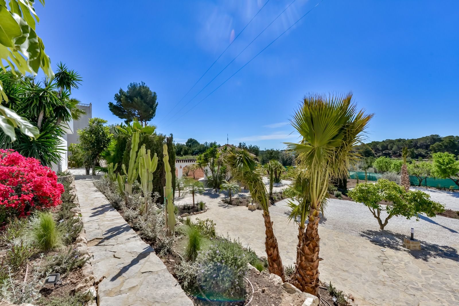 Exclusive Mediterranean Garden: Stone Paths through a Climate-Resistant Oasis with Palms and Cacti Exclusive Mediterranean Garden: Stone Paths through a Climate-Resistant Oasis with Palms and Cacti