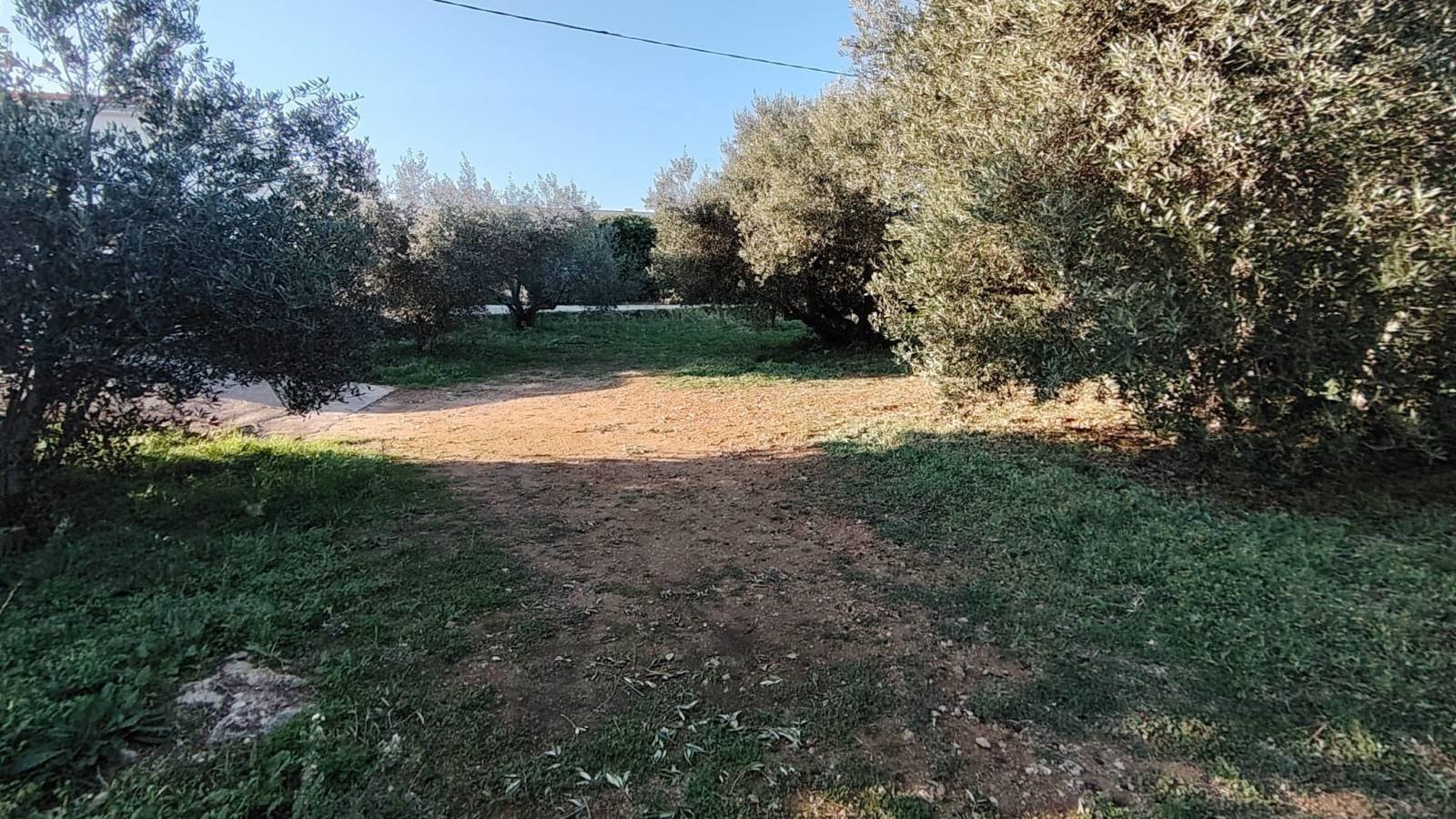 636535 - Grundstück in Tribunj