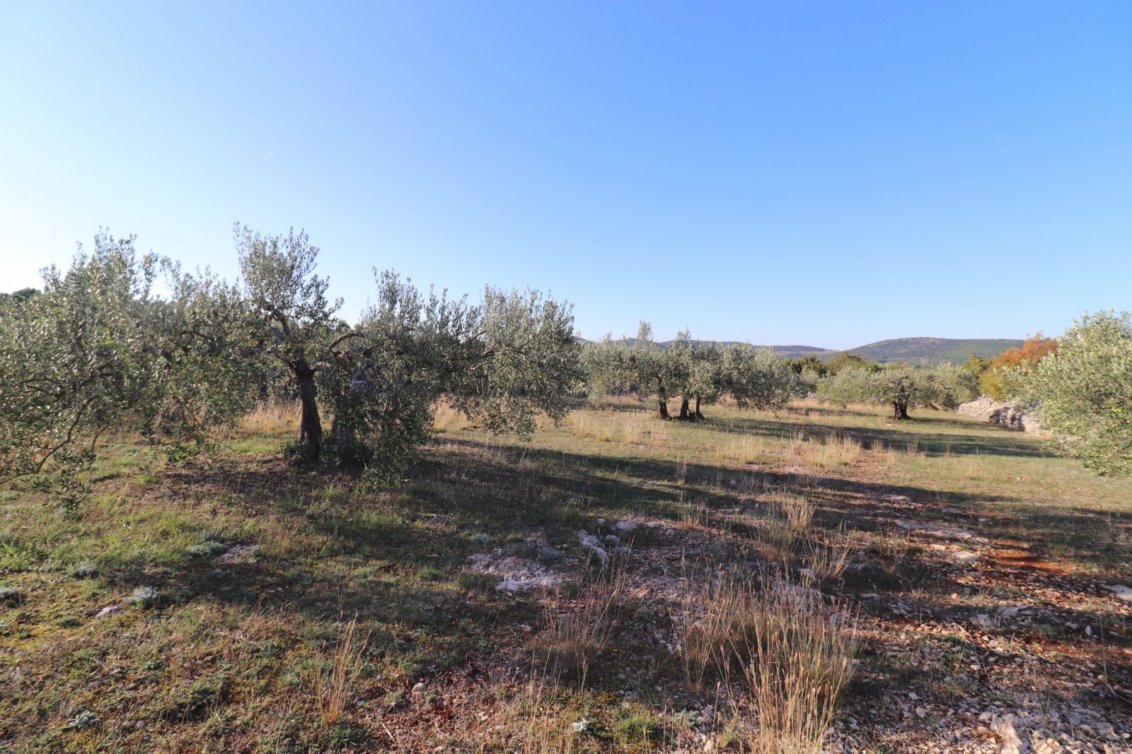 281034 - Grundstück in Šibenik - Okolica