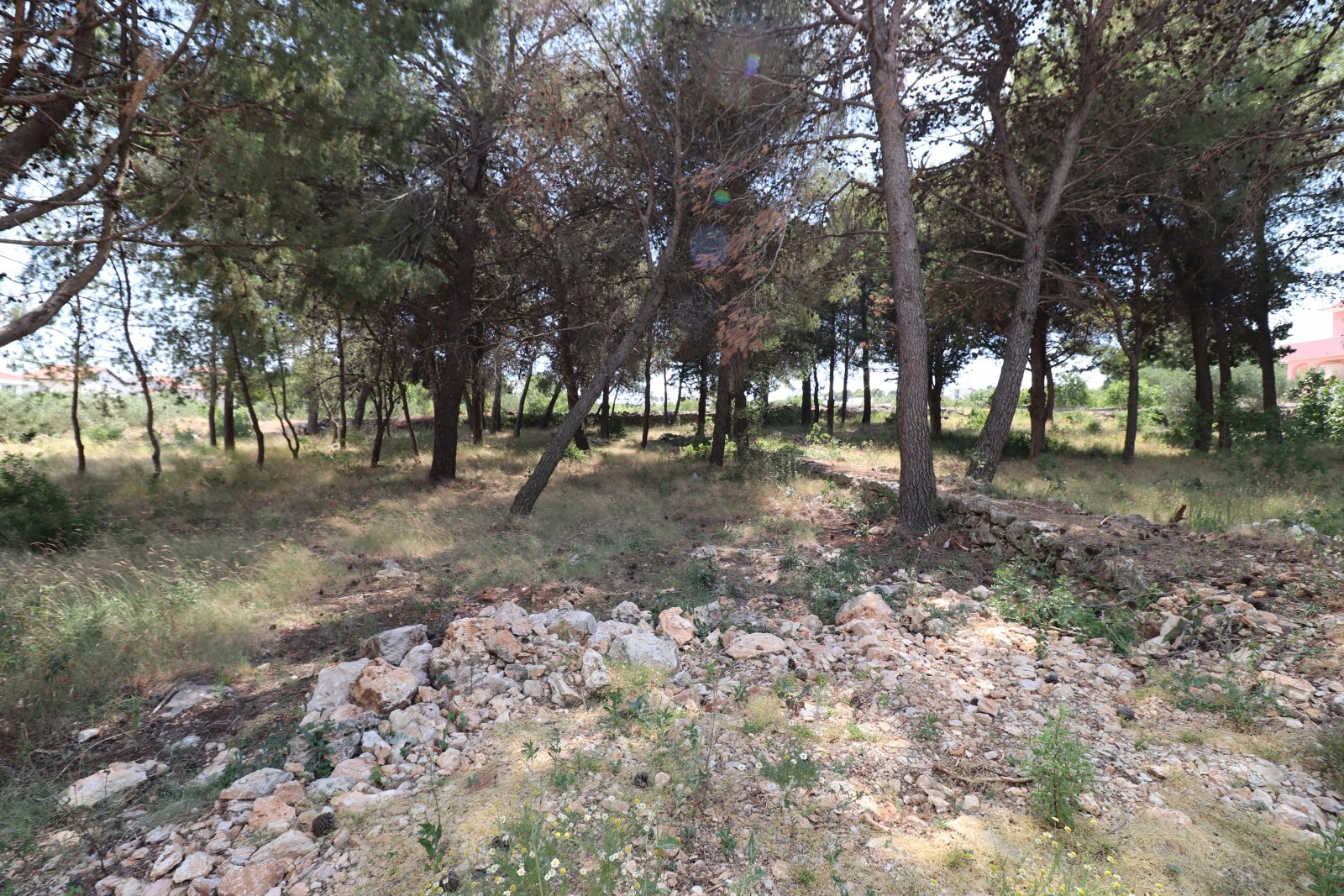 275000 - Grundstück in Vodice