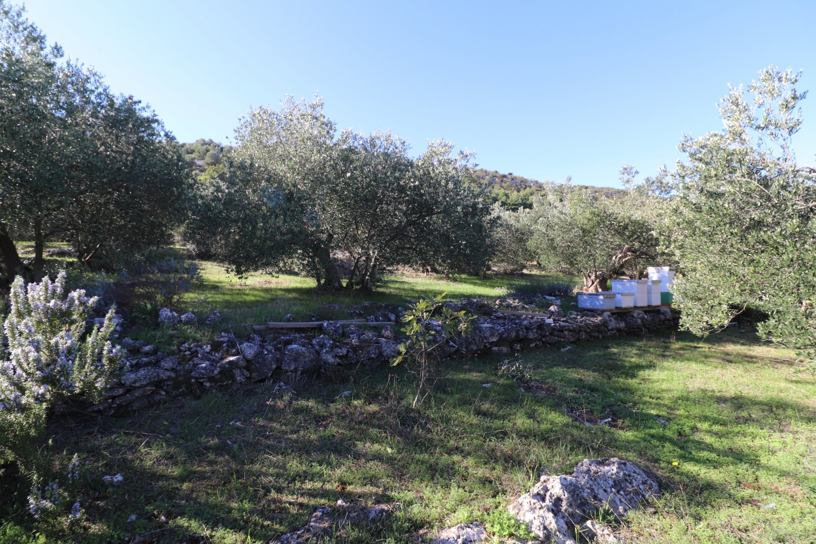 283292 - Grundstück in Vodice