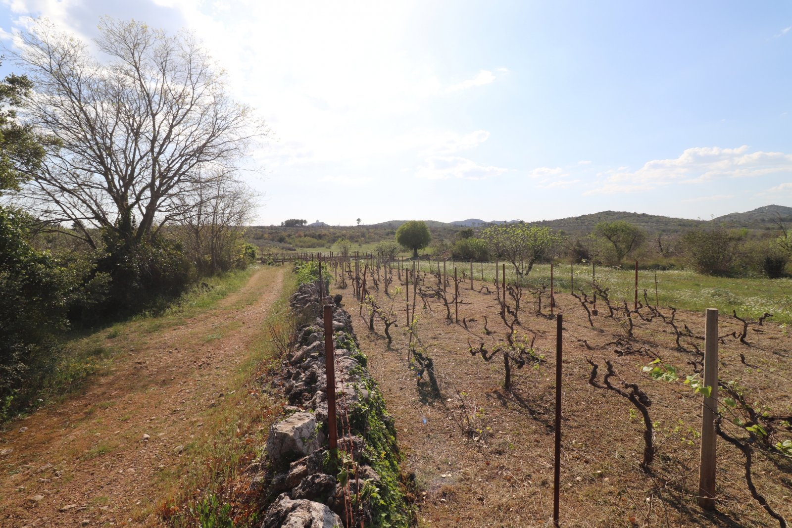 304095 - Grundstück in Vodice