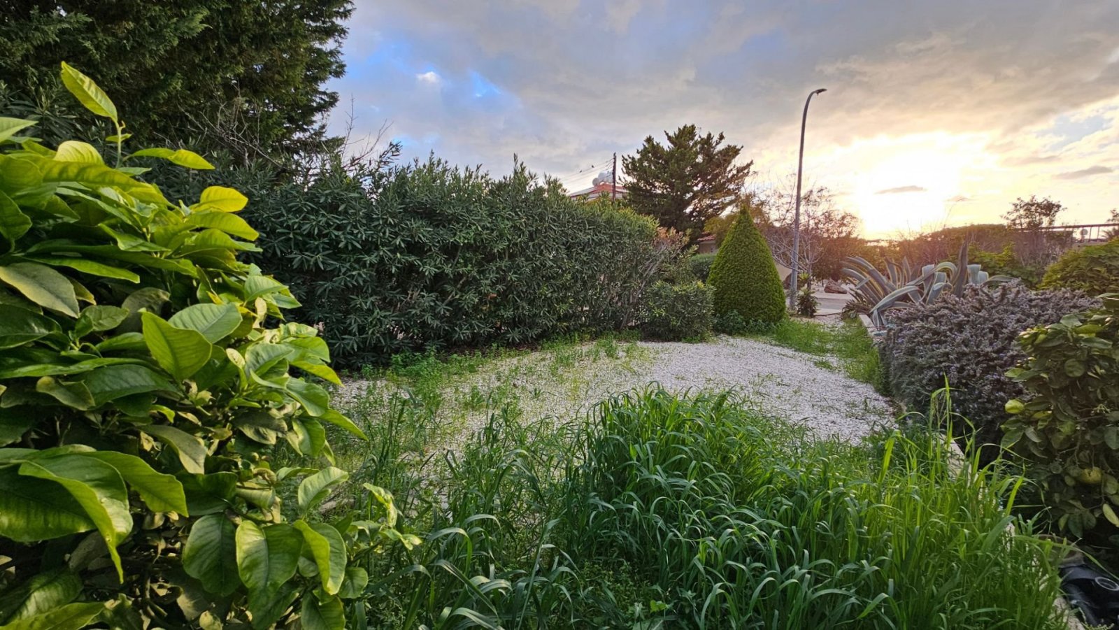 For sale is a charming detached villa set in the desirable area of Pegeia - Agios Georgios. This beautiful property, built in 2005, offers a generous 