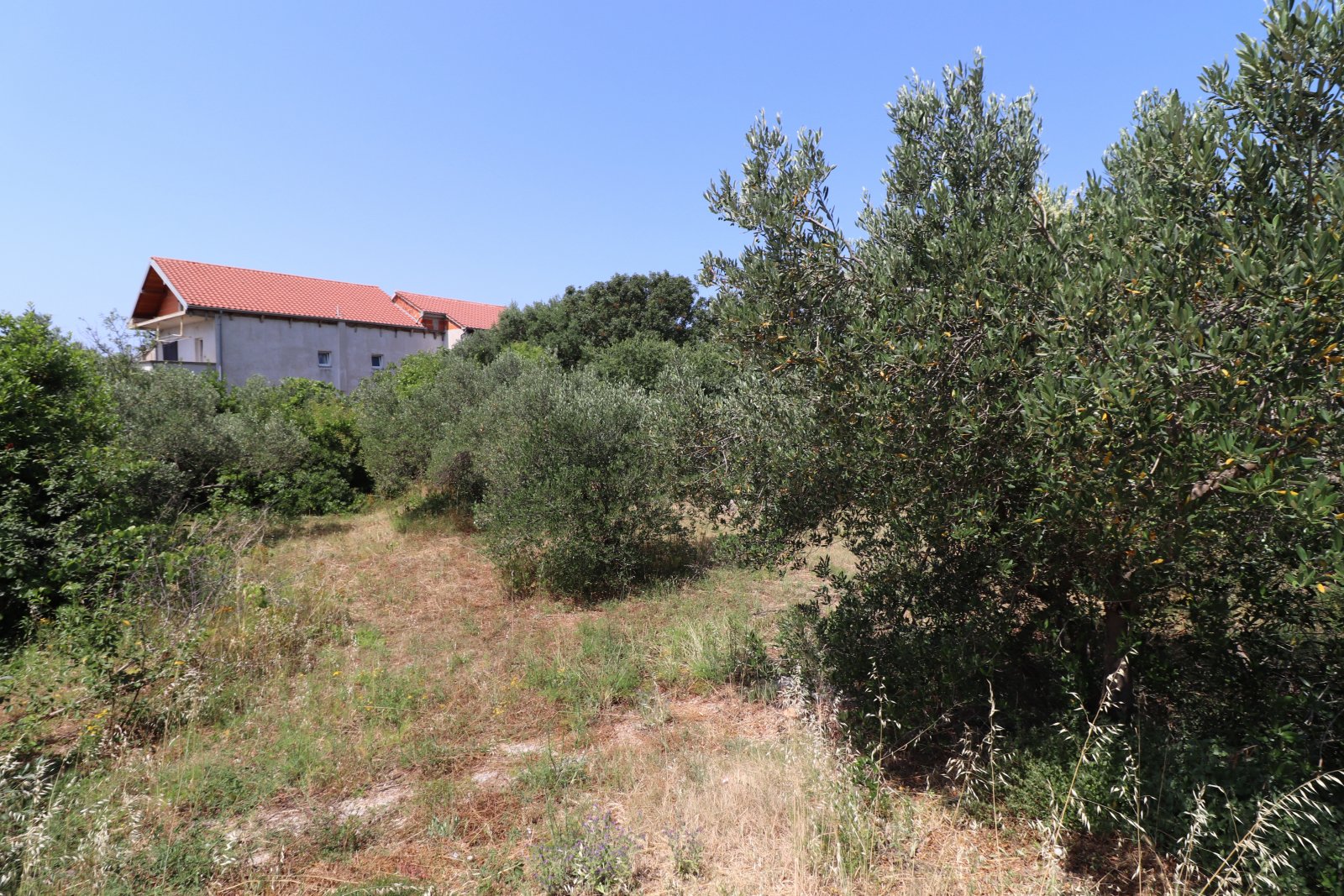 273958 - Grundstück in Tribunj