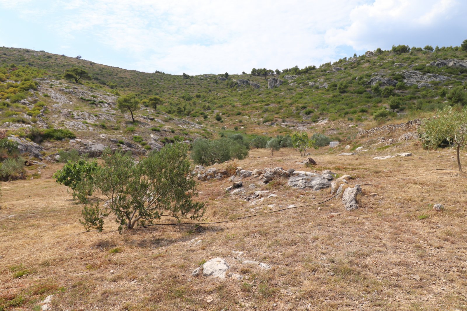 275374 - Villa in Vodice