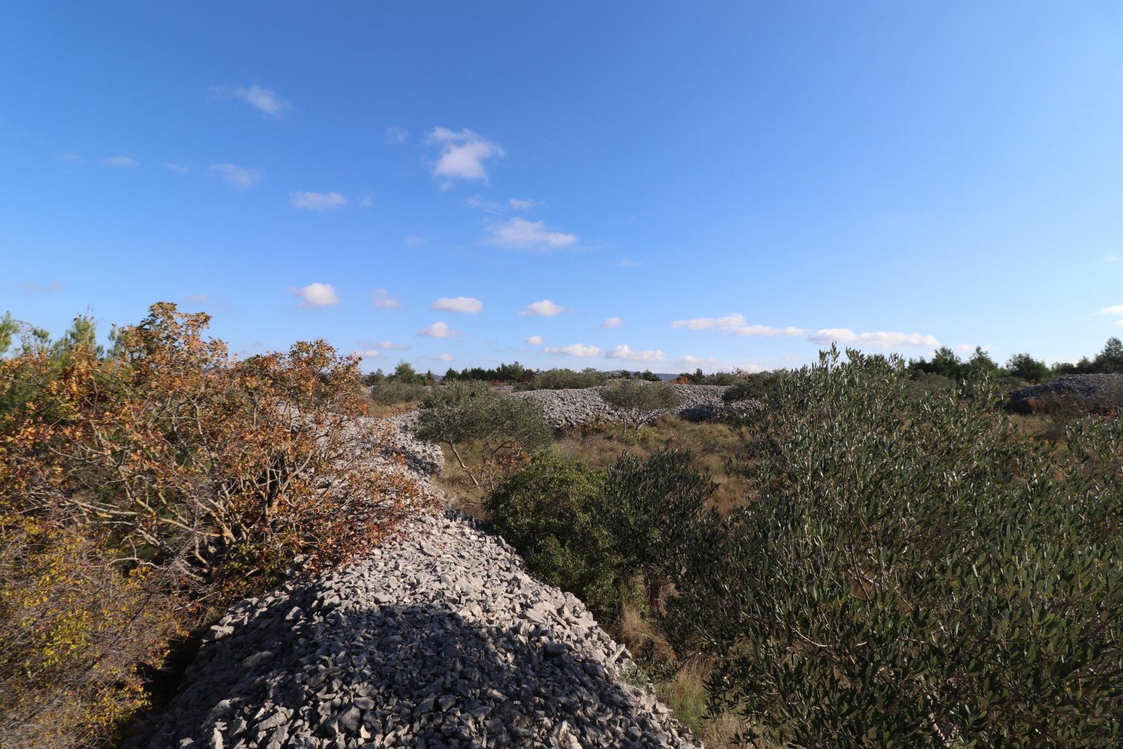 285250 - Grundstück in Šibenik - Okolica