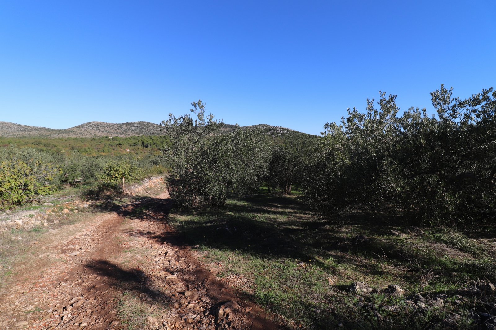 283292 - Grundstück in Vodice