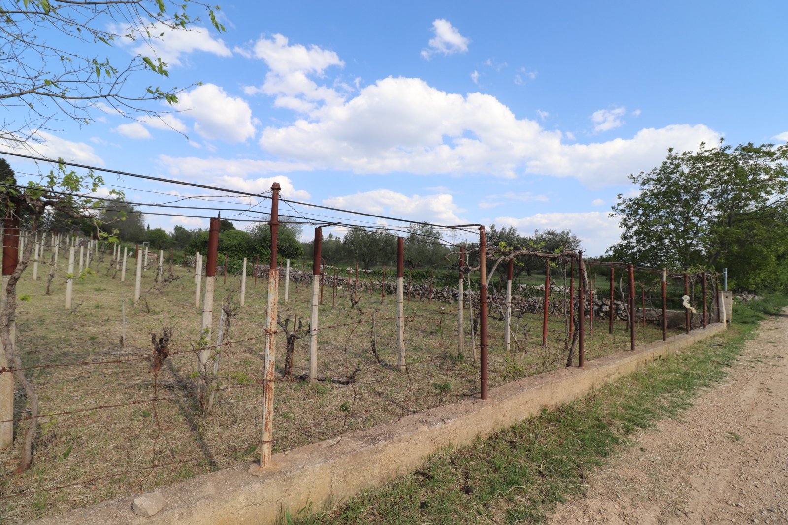 304095 - Grundstück in Vodice