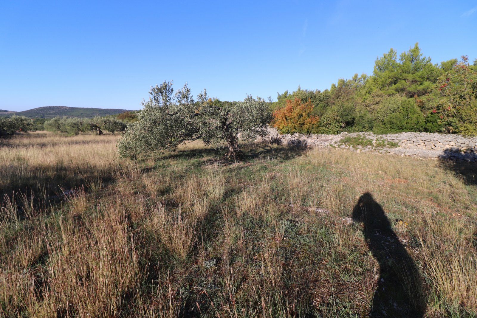 281034 - Grundstück in Šibenik - Okolica