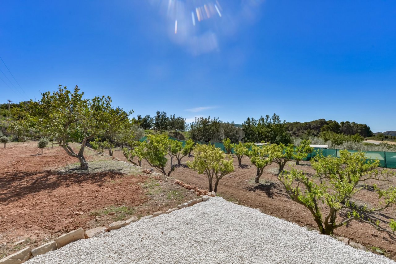 Une plantation fruitière fertile avec une infrastructure d'irrigation parfaite - votre rêve agricole devient réalité ! Une plantation fruitière fertile avec une infrastructure d'irrigation parfaite - votre rêve agricole devient réalité !