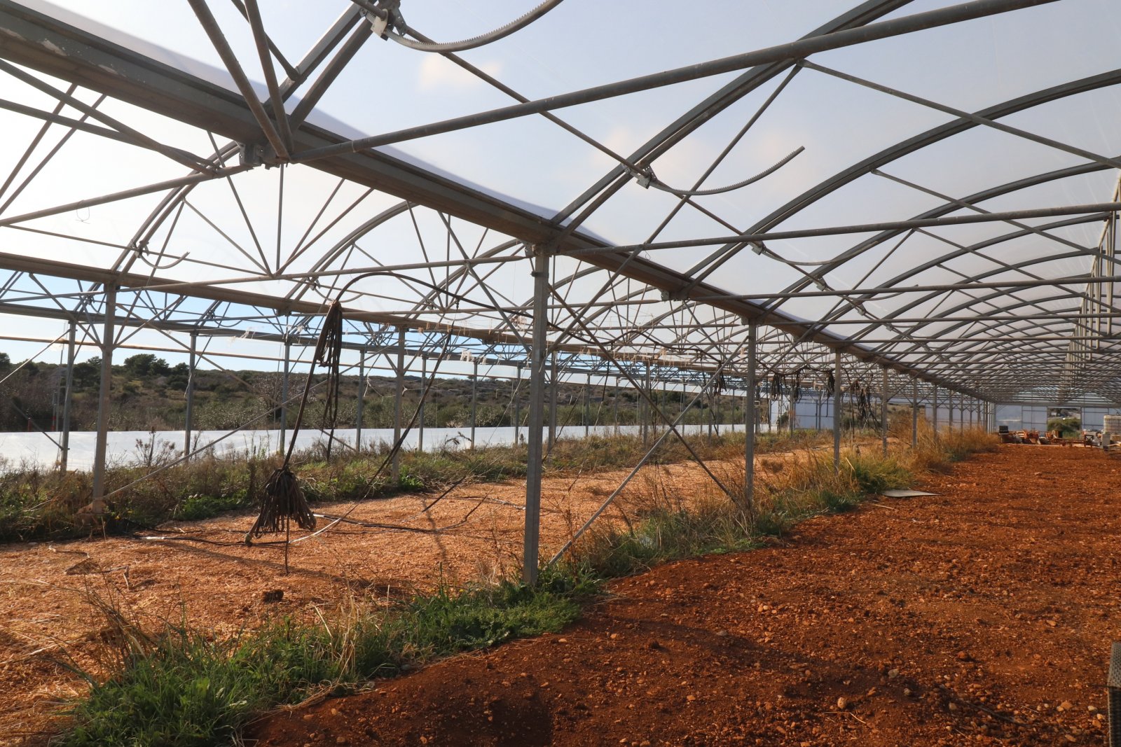 291485 - Grundstück in Šibenik - Okolica