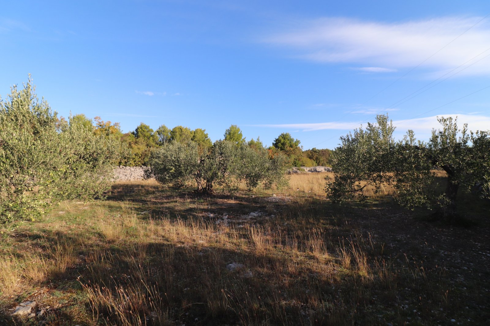 281536 - Grundstück in Šibenik - Okolica