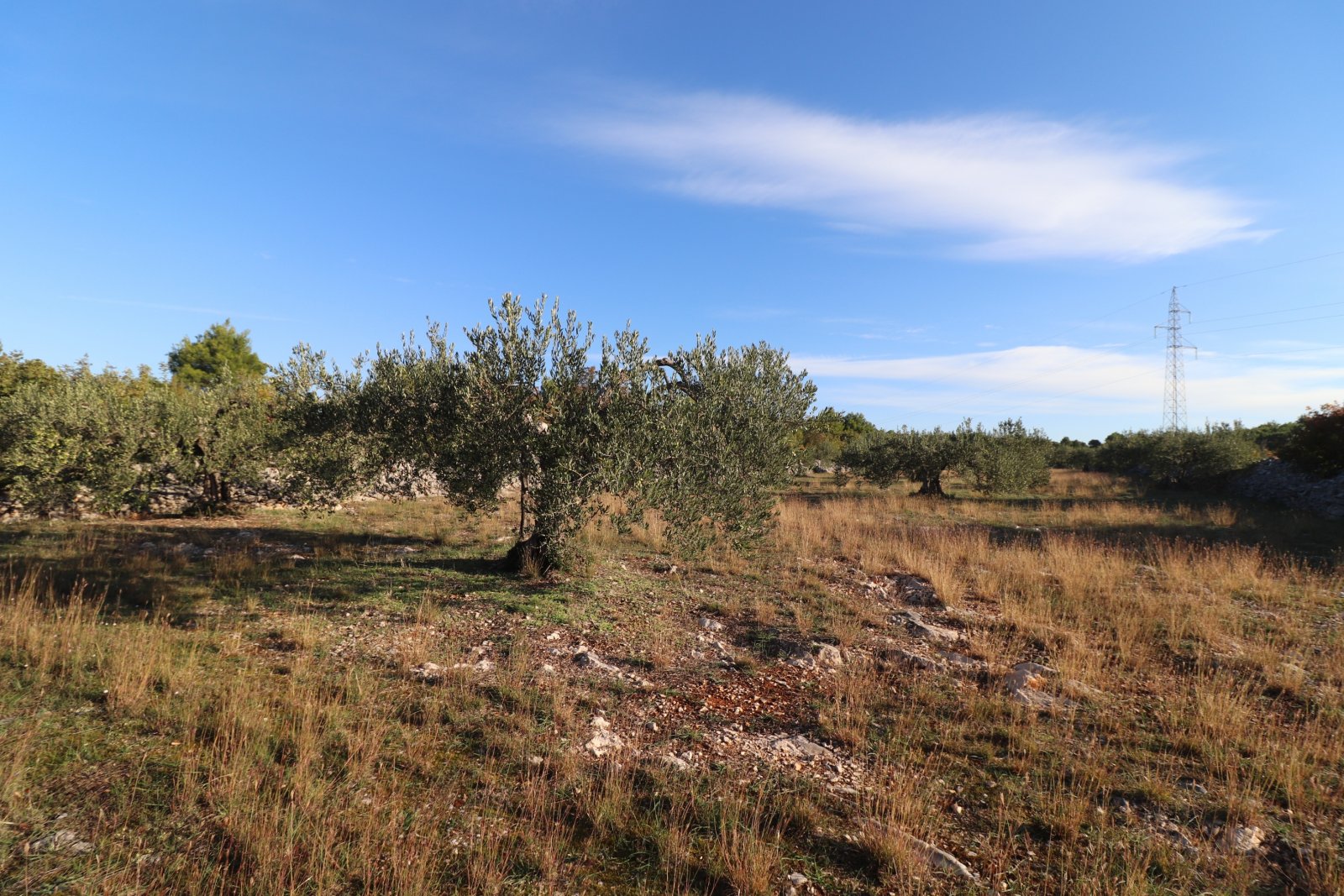 281034 - Grundstück in Šibenik - Okolica
