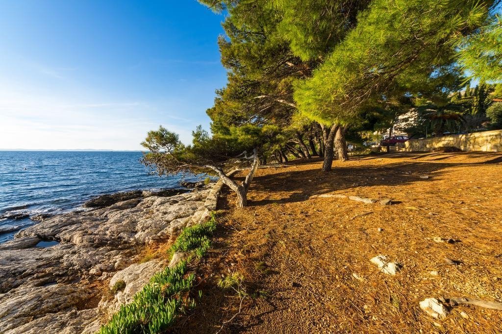 303810 - Villa in Murter