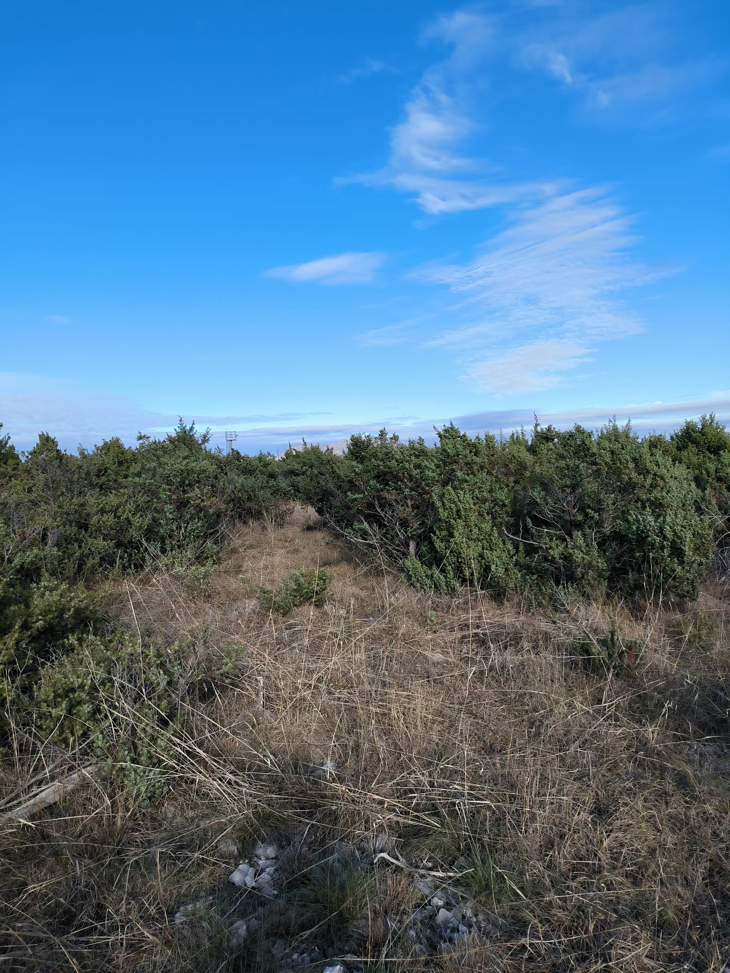 285648 - Grundstück in Drniš