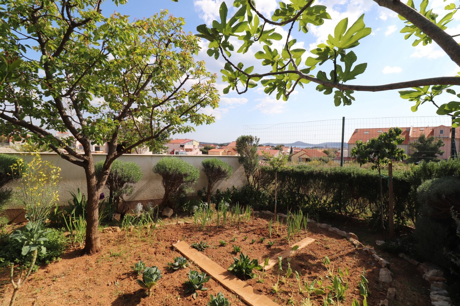 303650 - Villa in Vodice