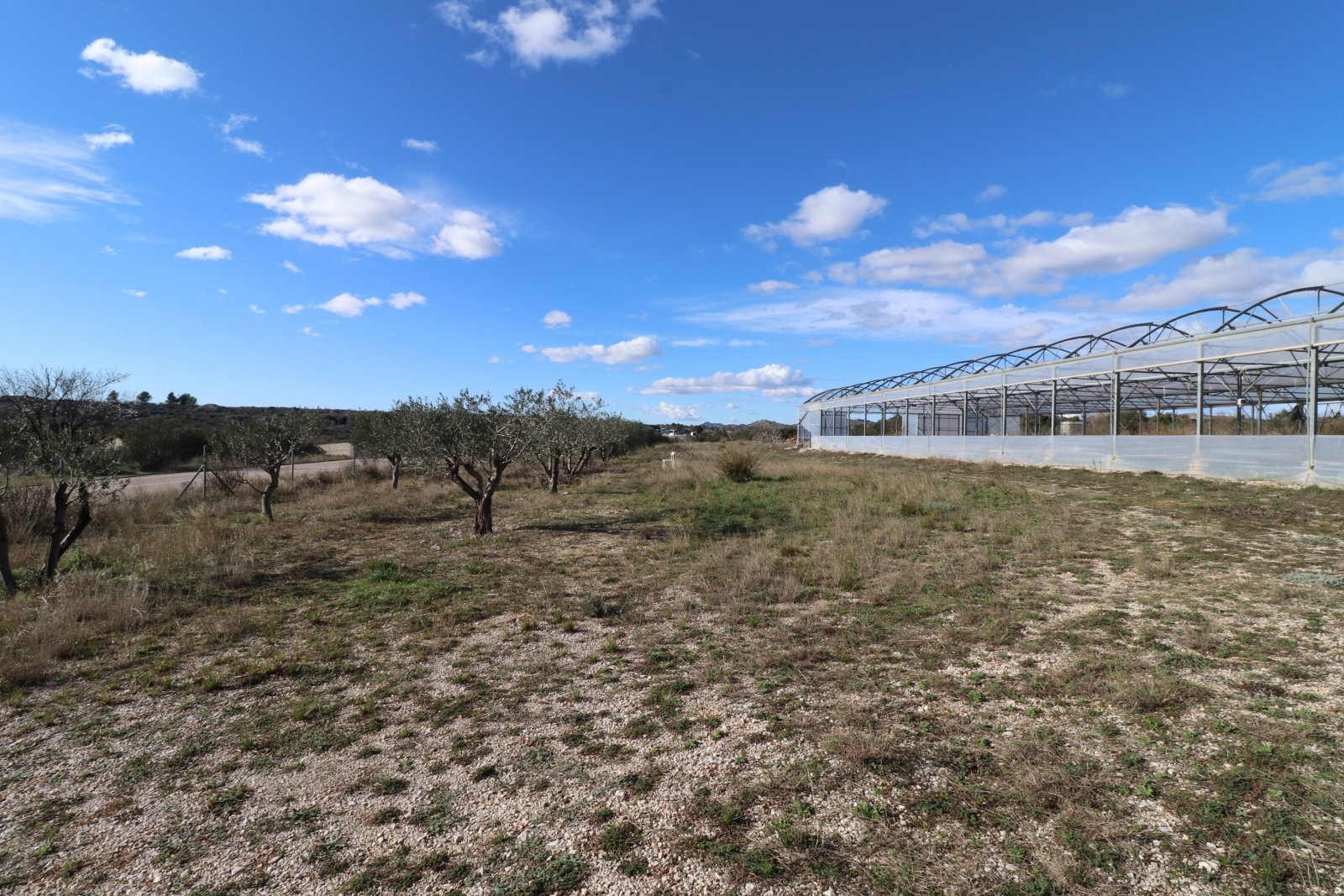 291485 - Grundstück in Šibenik - Okolica