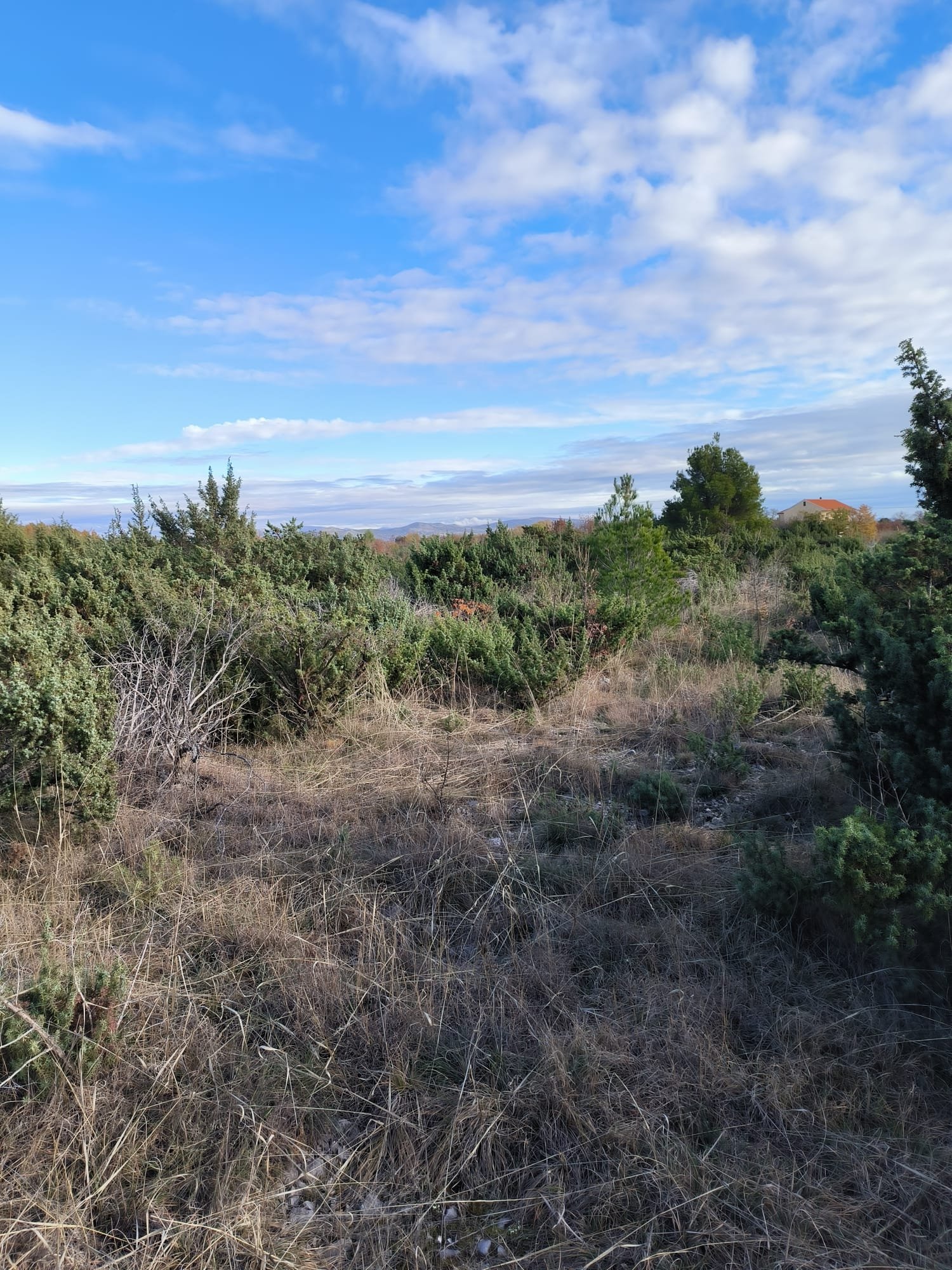 285648 - Grundstück in Drniš