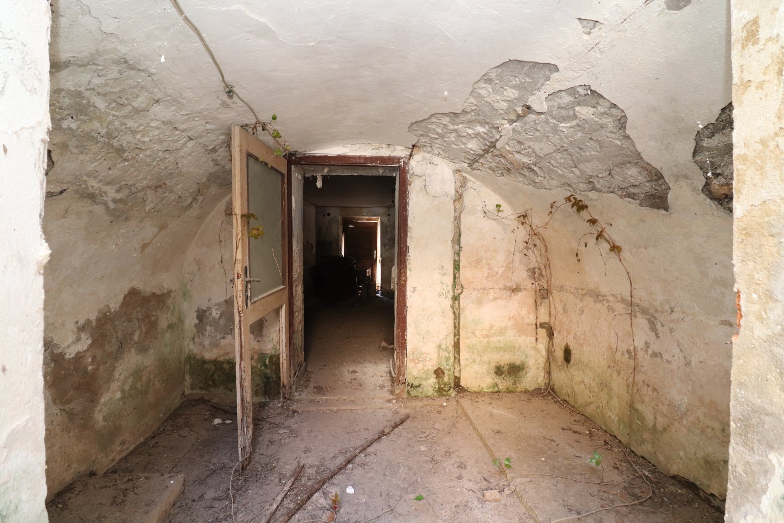 274250 - Villa in Vodice