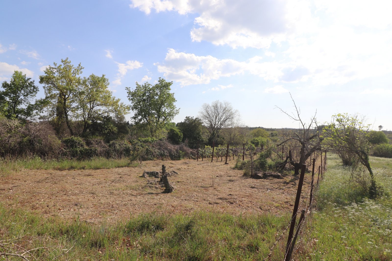 304095 - Grundstück in Vodice