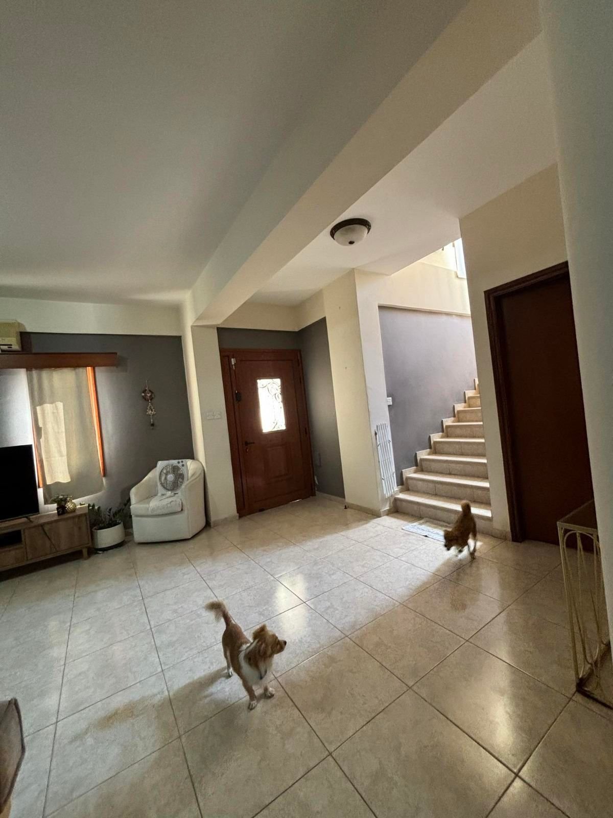 For sale is this charming detached villa located in the tranquil area of Timi. With a generous internal space of 184 m2, this home offers ample room f