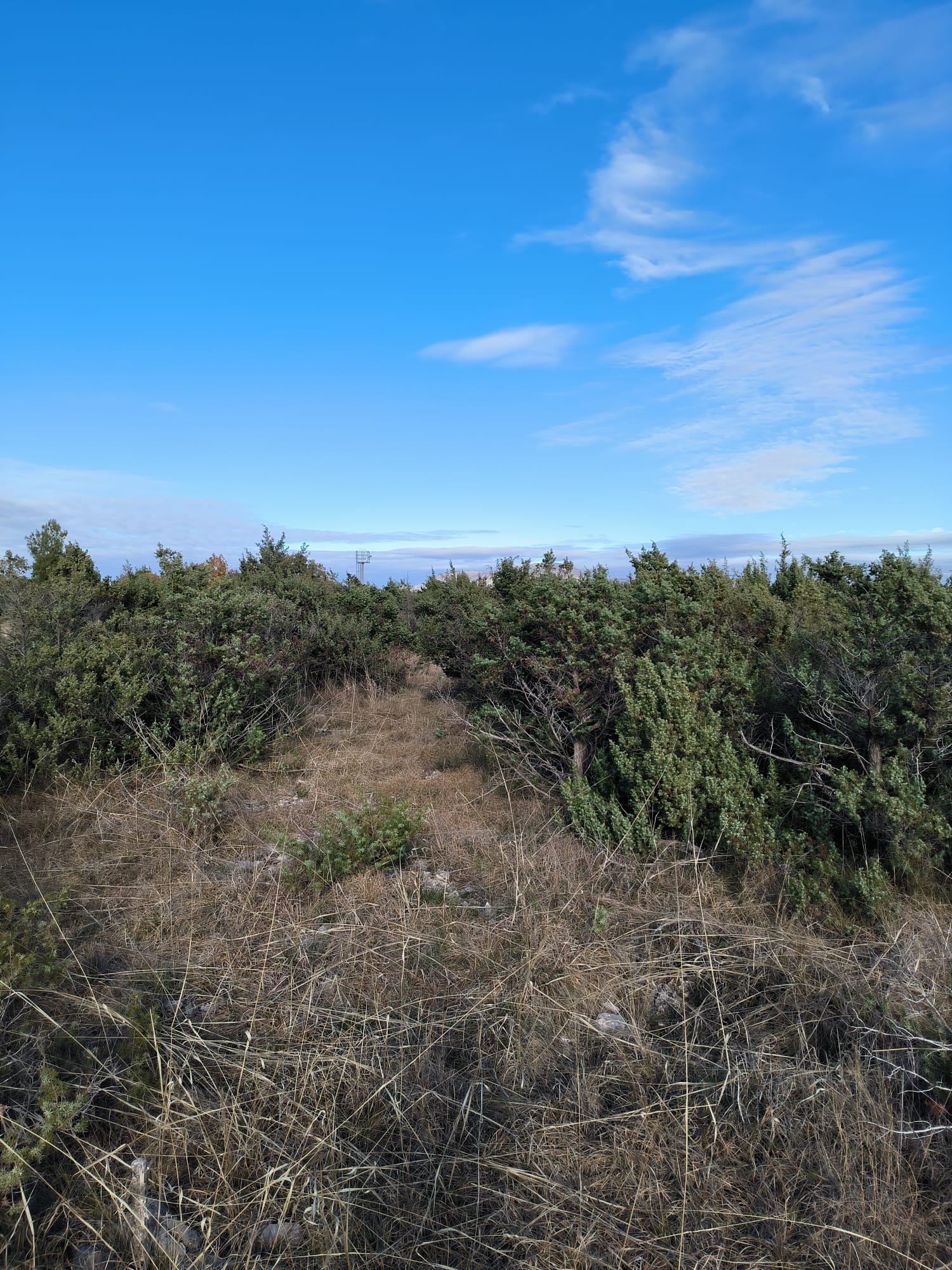 285648 - Grundstück in Drniš