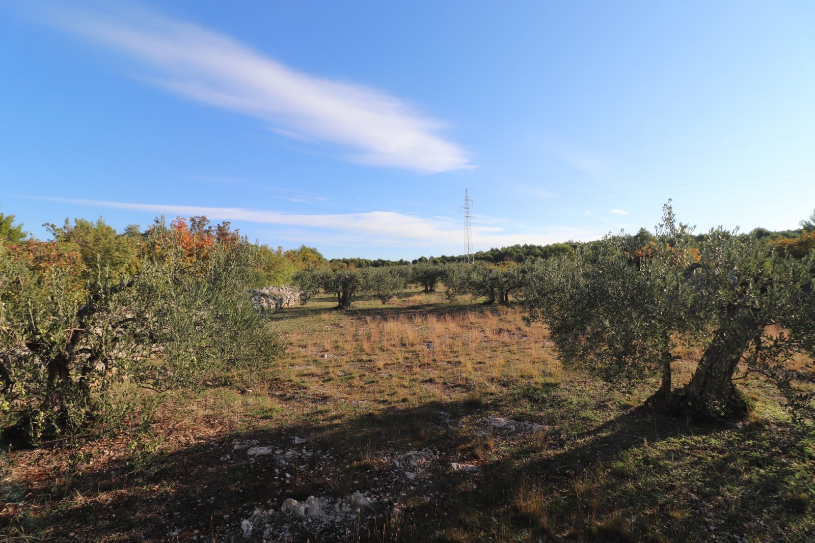 281034 - Grundstück in Šibenik - Okolica