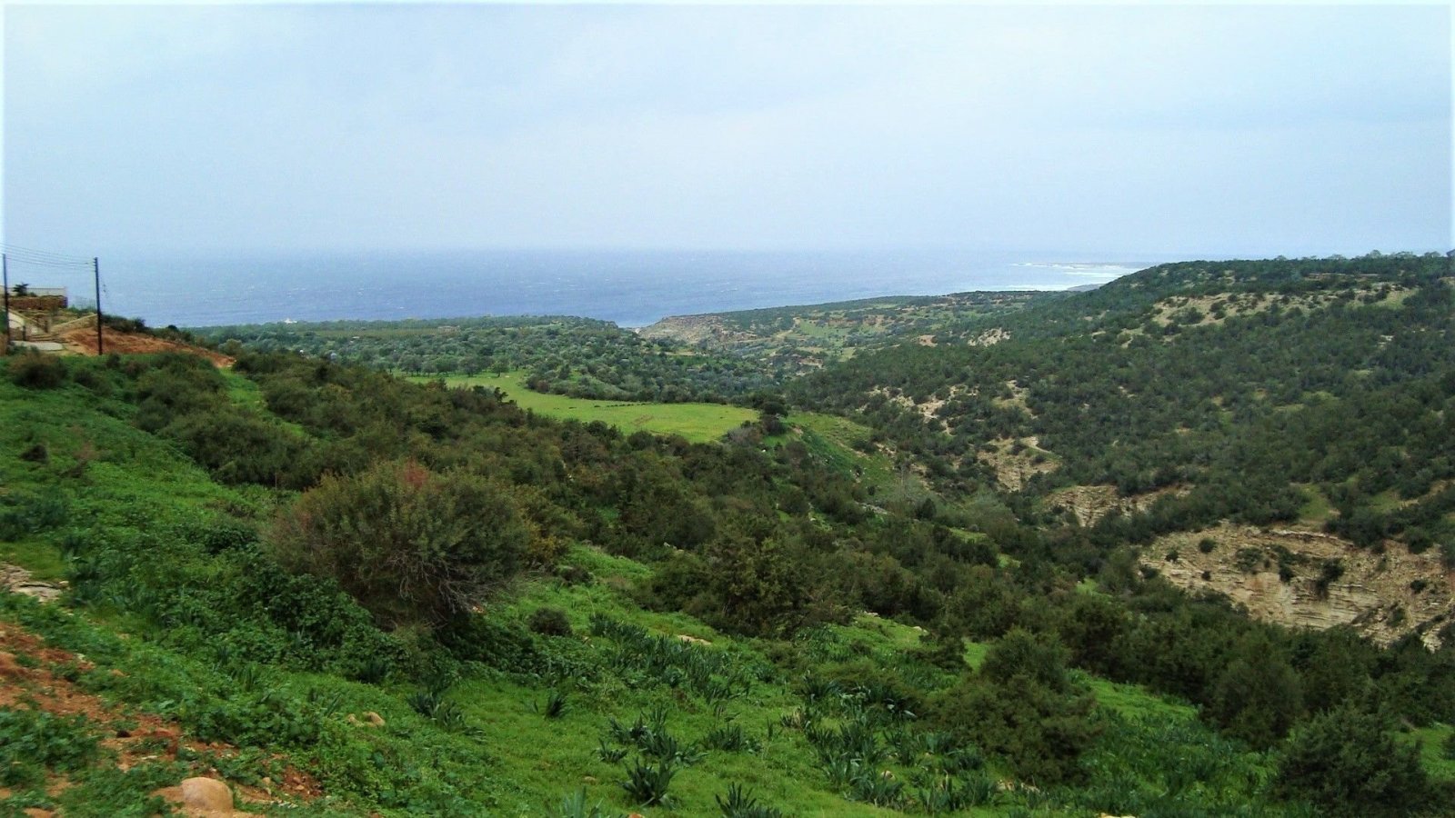 For Sale A New under construction Villa with Panoramic Uninterrupted Sea Views and Green areas.
The property can finish in 10 months.
A special sele