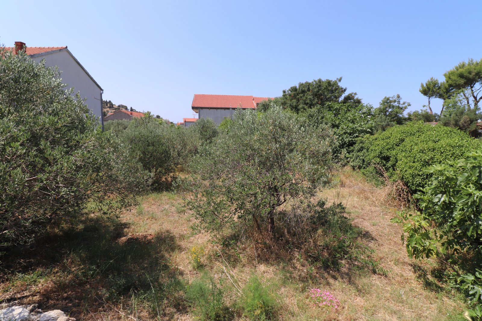 273958 - Grundstück in Tribunj