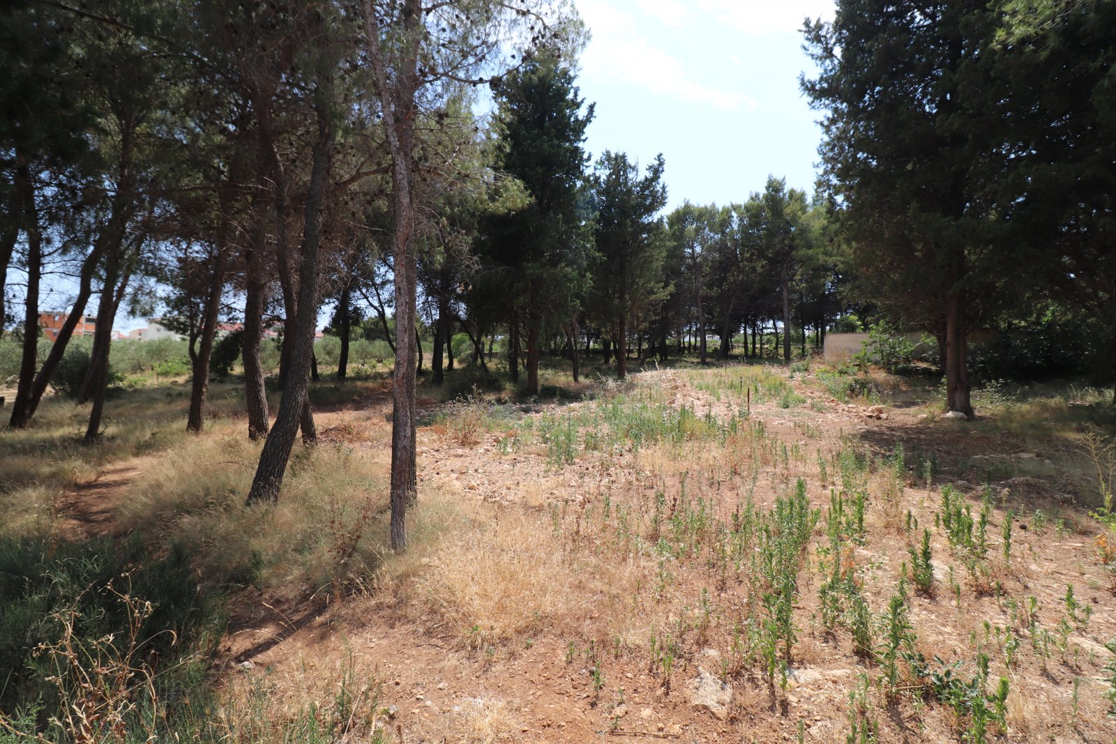 275000 - Grundstück in Vodice