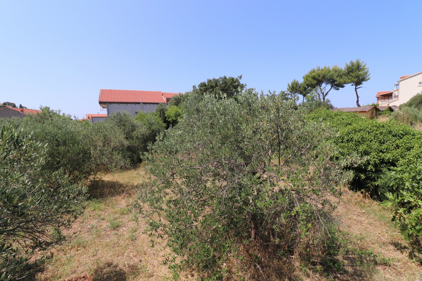 273958 - Grundstück in Tribunj