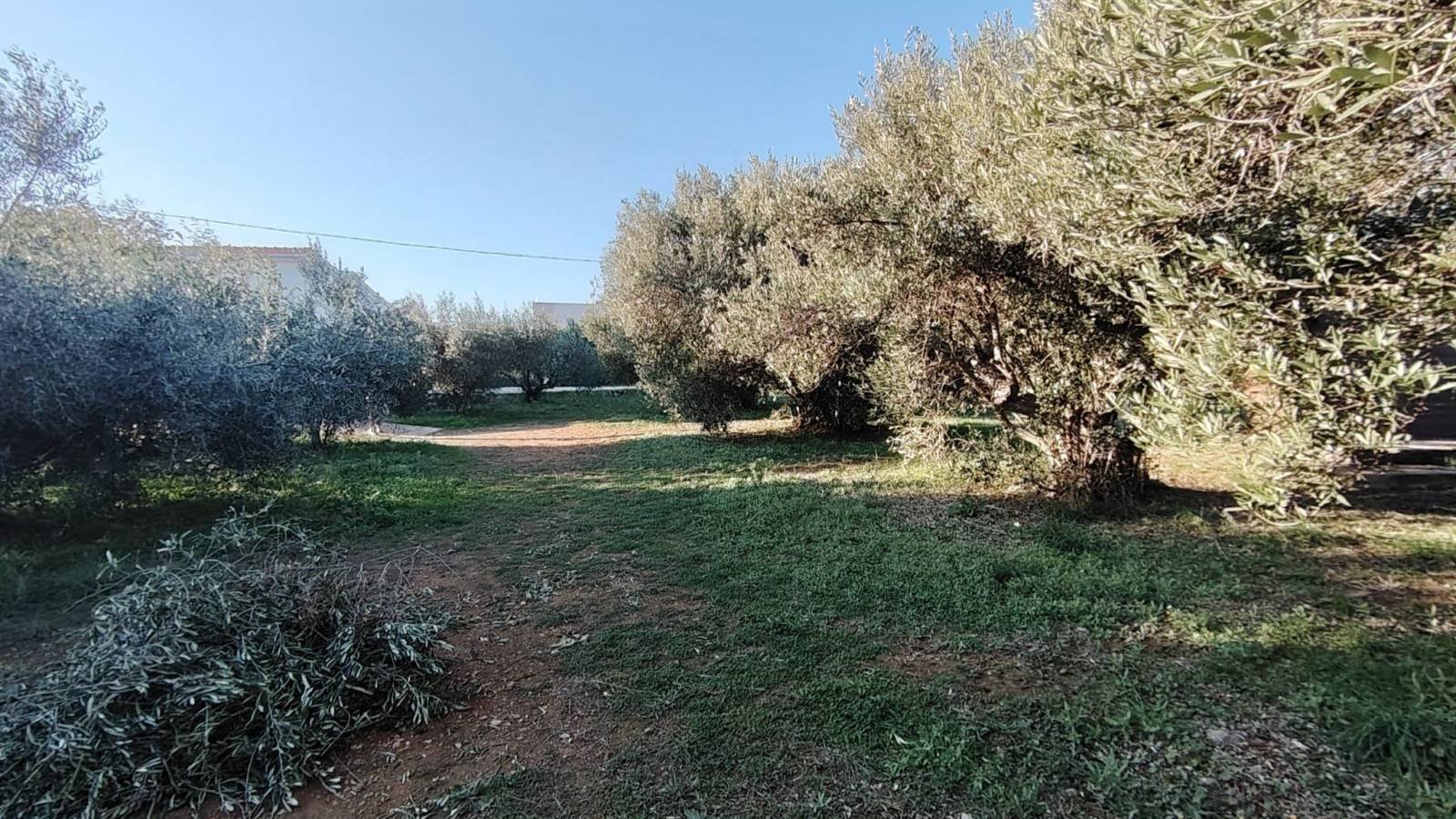 636535 - Grundstück in Tribunj